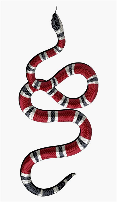 transparent gucci snake